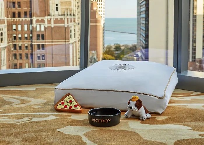 Viceroy Hotel